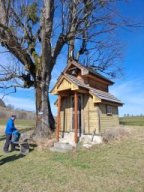 Wanderung-Wiesenbach-2026-03